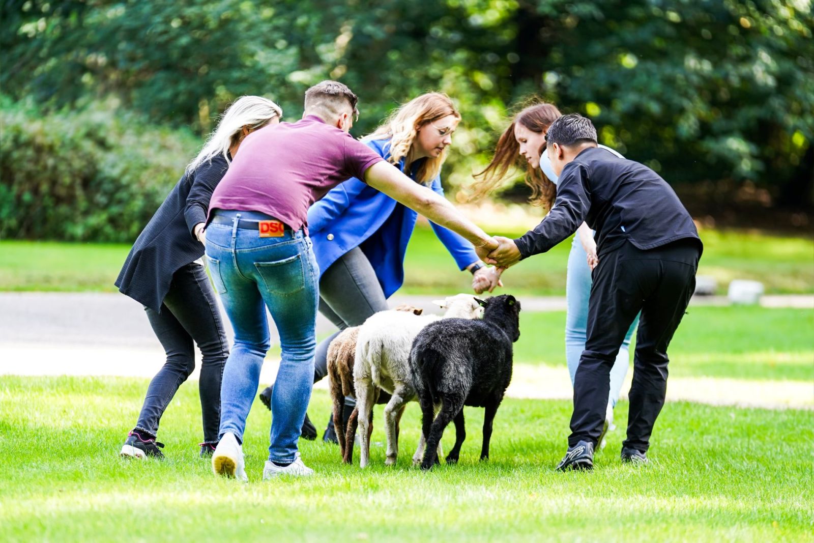 Teambuilding Buiten Business | Buitenplaats de Bergse Bossen