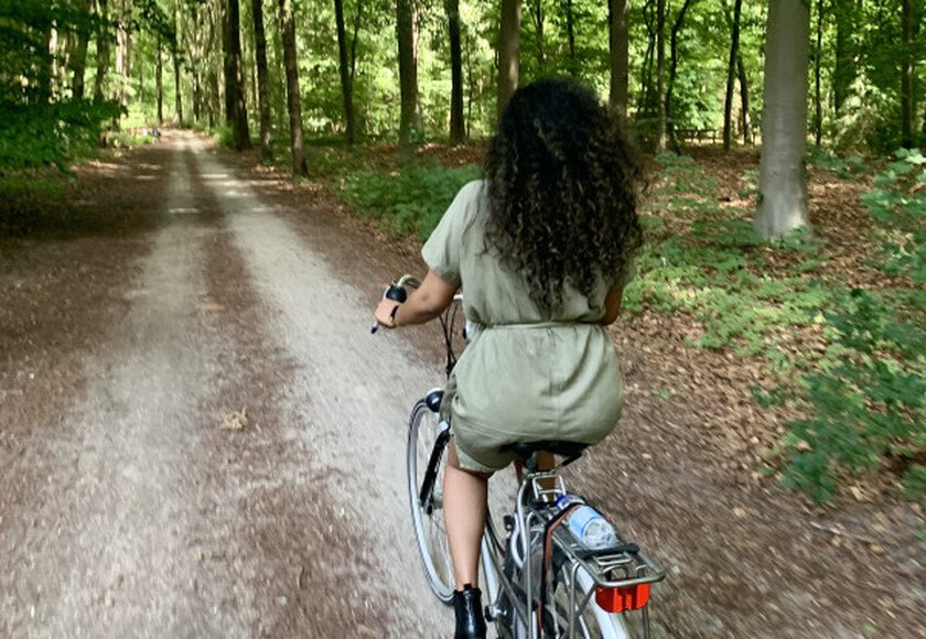 Utrechtse Heuvelrug | Fietsarrangement | Bergse Bossen | Hotel